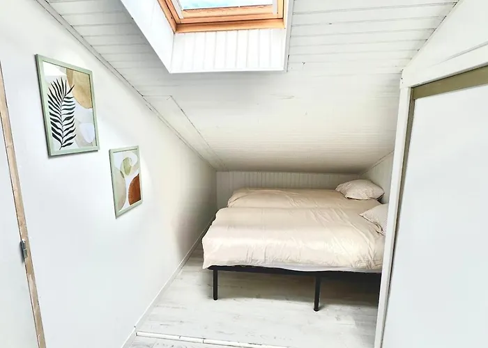 Maison T3 Terrasse, Et Commerces A Pied *