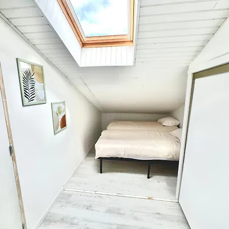 Maison T3 Terrasse, Et Commerces A Pied *